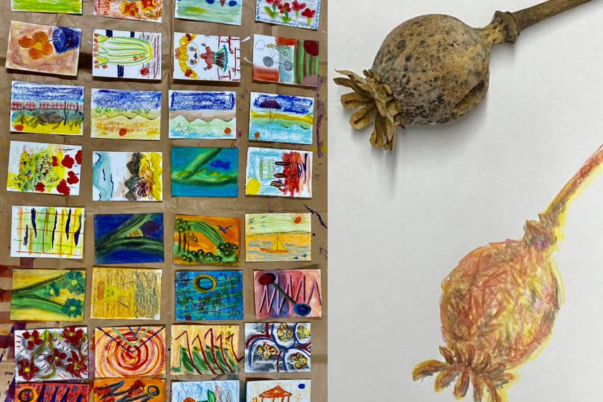 Potentia Collective 2021 2nd program starts soon!