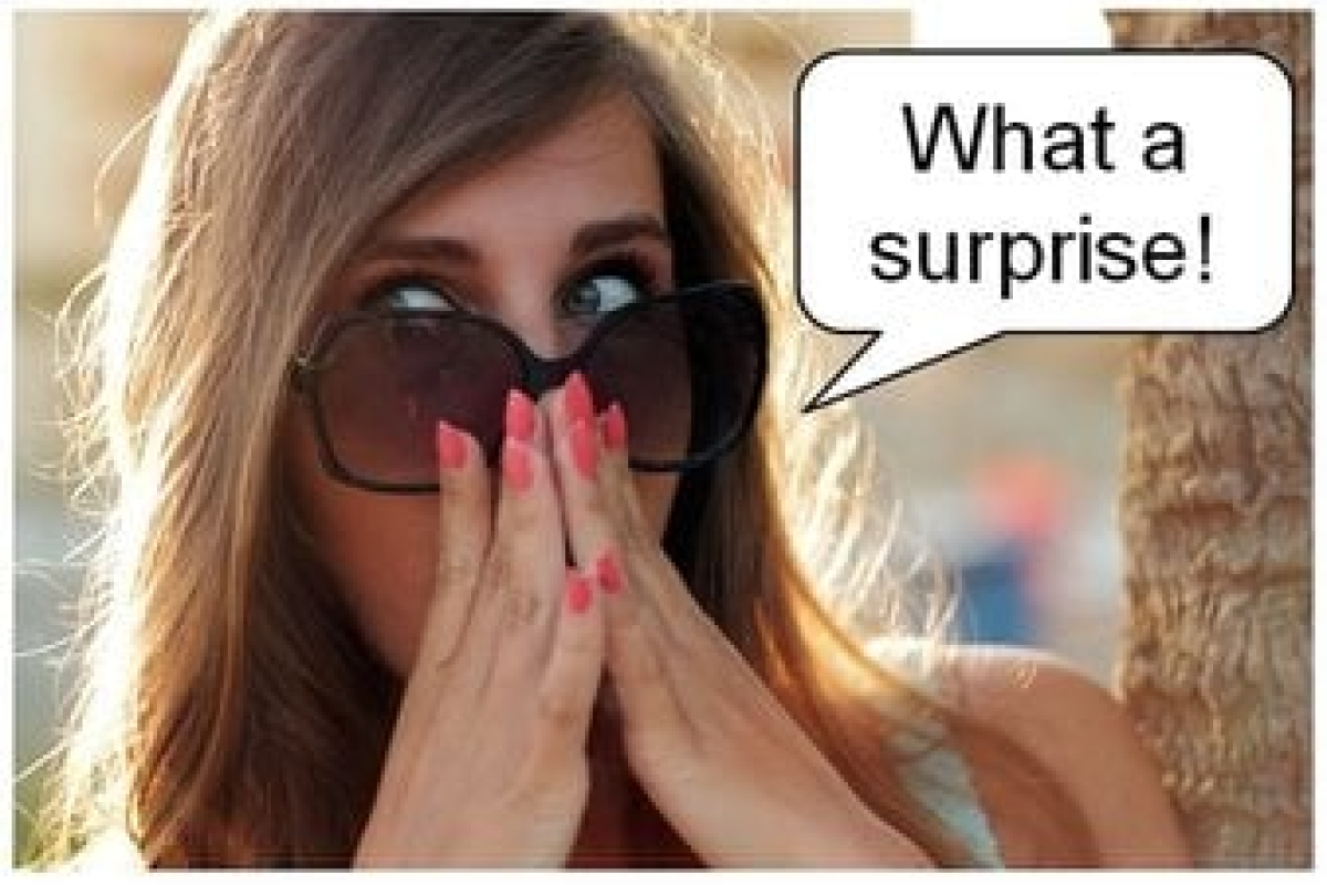 Potentia Collective 2022 program launches!