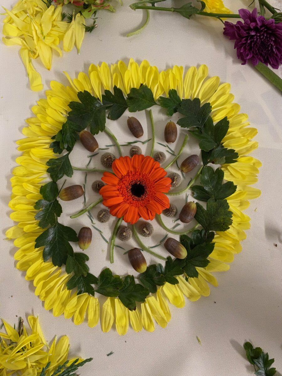 The 2nd program starts!